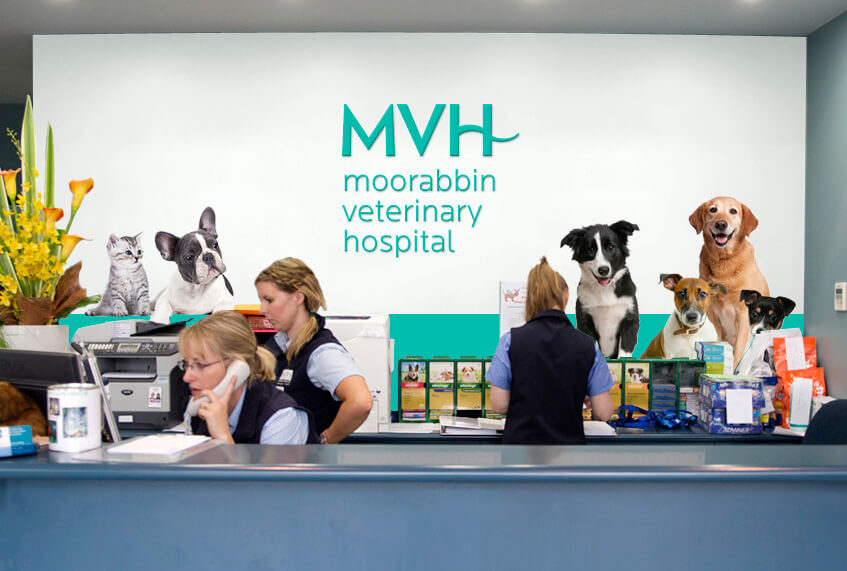 Mvh Interior Signage